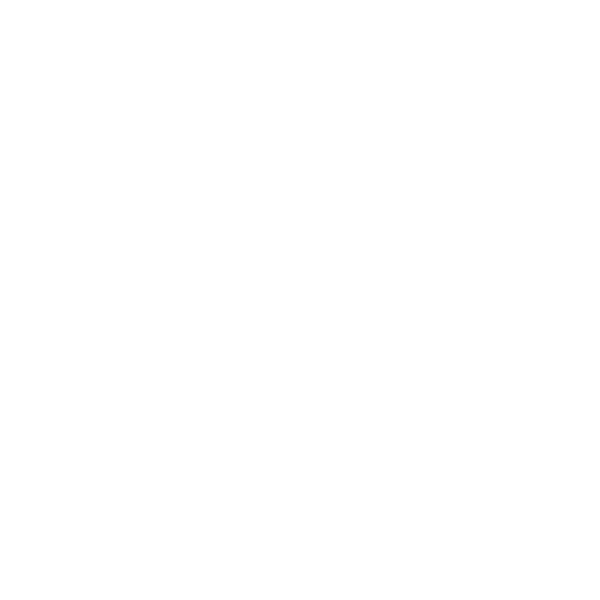 Leon County Logo - White